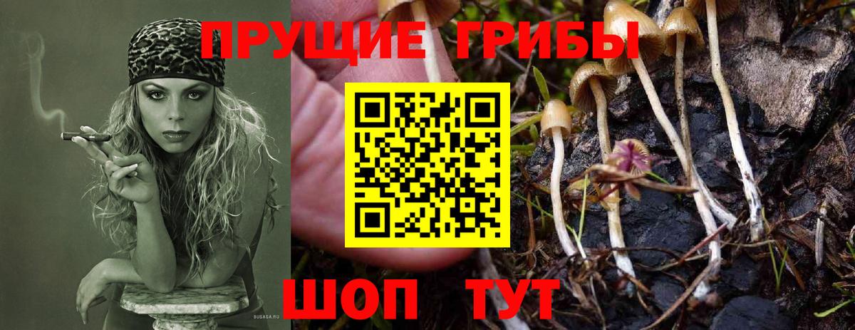 Галлюциногенные грибы мицелий  Галлюциногенные грибы прущие грибы  Муравленко  Вход с VPN 