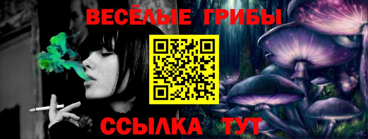 Галлюциногенные грибы прущие грибы Муравленко